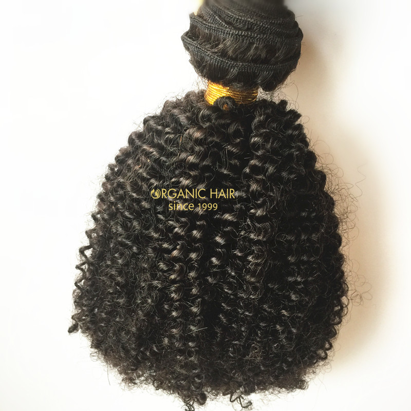 Brazilian hollywood lush hair extensions Brazilian hollywood lush hair extensions